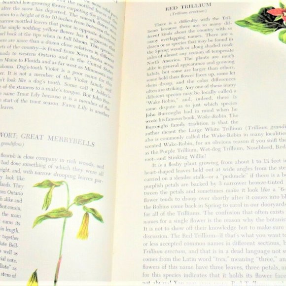 3 Book Set John Kieran An Introduction To Nature Birds Wildflowers Trees - Picture 5 of 8